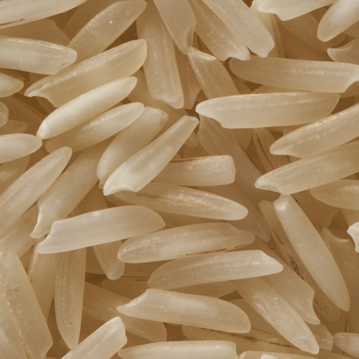 PHiT – Protein Hit Wash &amp; Go avec graines de lin et riz pour un lavage facile et sans enchevêtrement
